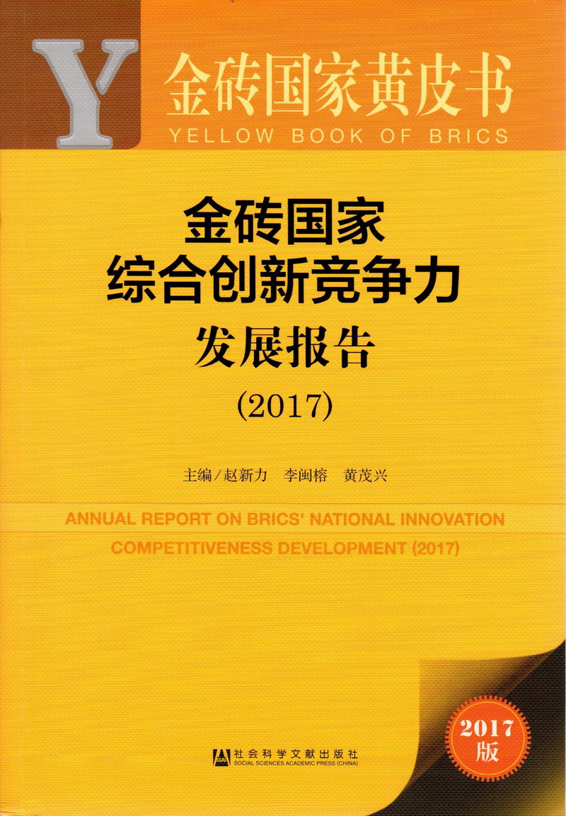 嗯嗯啊啊啊使劲操骚逼视频金砖国家综合创新竞争力发展报告（2017）